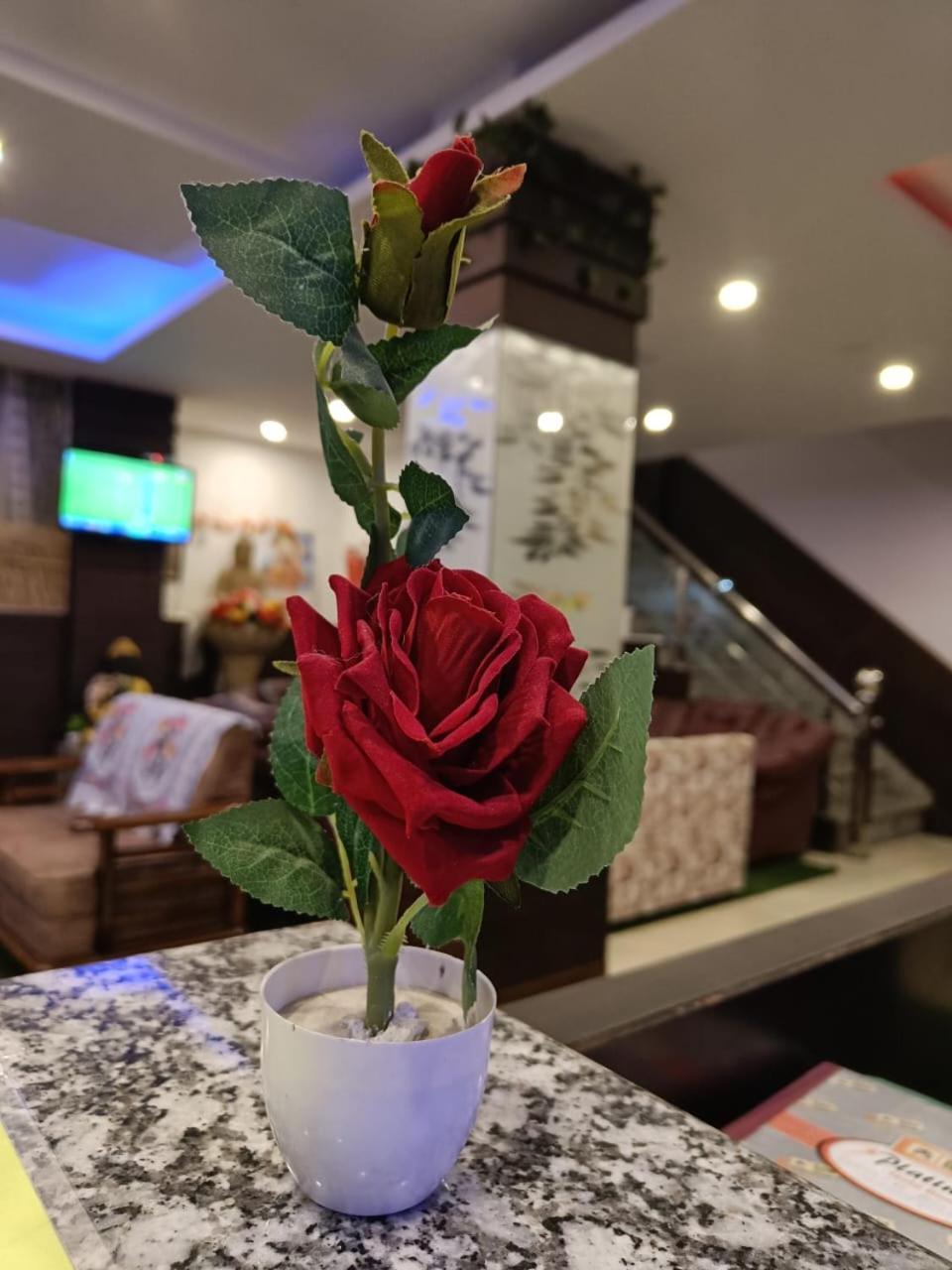 King Castle Mcleodganj-Centrally Heated And Air Cooled- Near Mall Road - Free Parking Dharamshala Luaran gambar